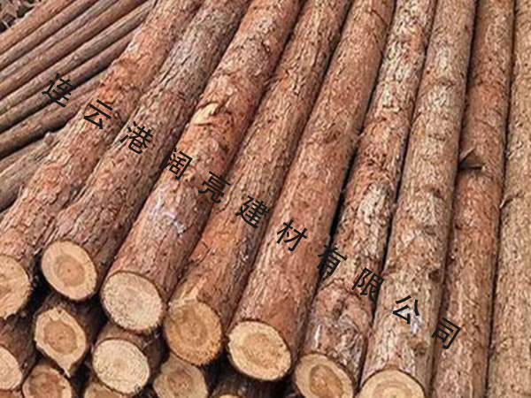 購(gòu)買灌南打樁木時(shí)我需要注意什么？